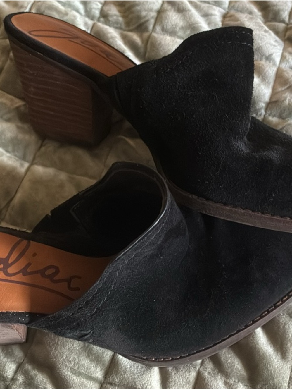 Zodiac Black Suede Block Heel Mule Clogs